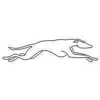 greyhound running